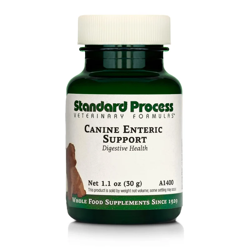 Standard Process Inc. – Soutien entérique canin pour une digestion saine – Supplément nutritionnel 30 g