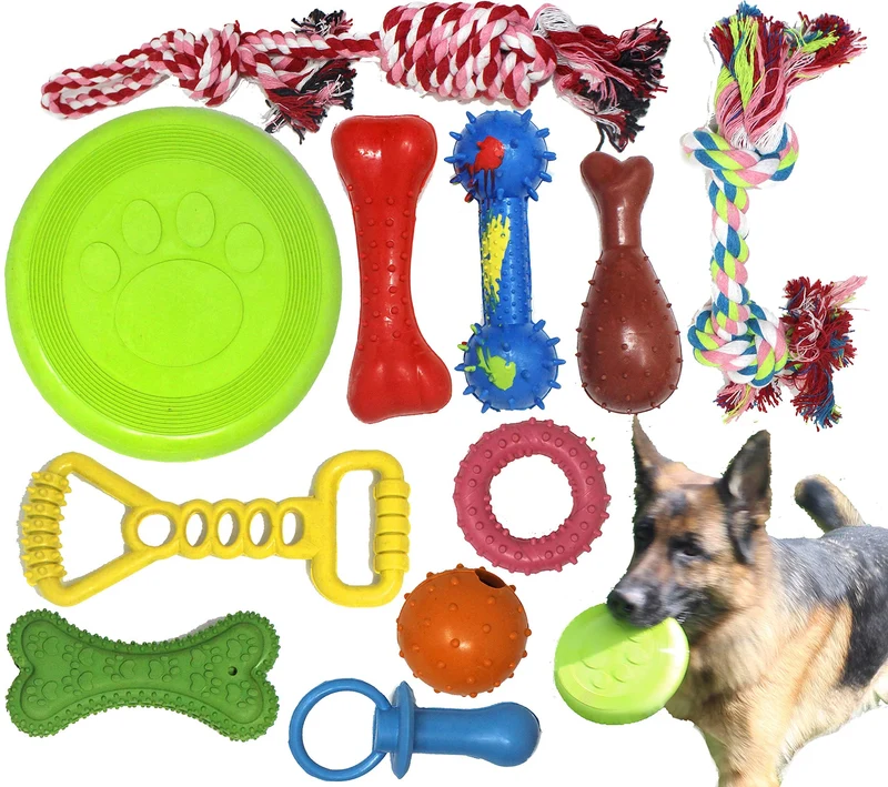 Jalousie: Ensemble de Jouets à Mâcher en Caoutchouc Naturel et Corde pour Chiens de Petites à Moyennes Tailles