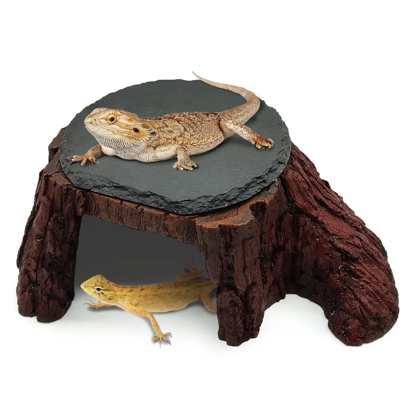 GXSDJ Plateforme de Baignade pour Dragon Barbu – Cachette et Roche Chauffante 28x18x9 cm