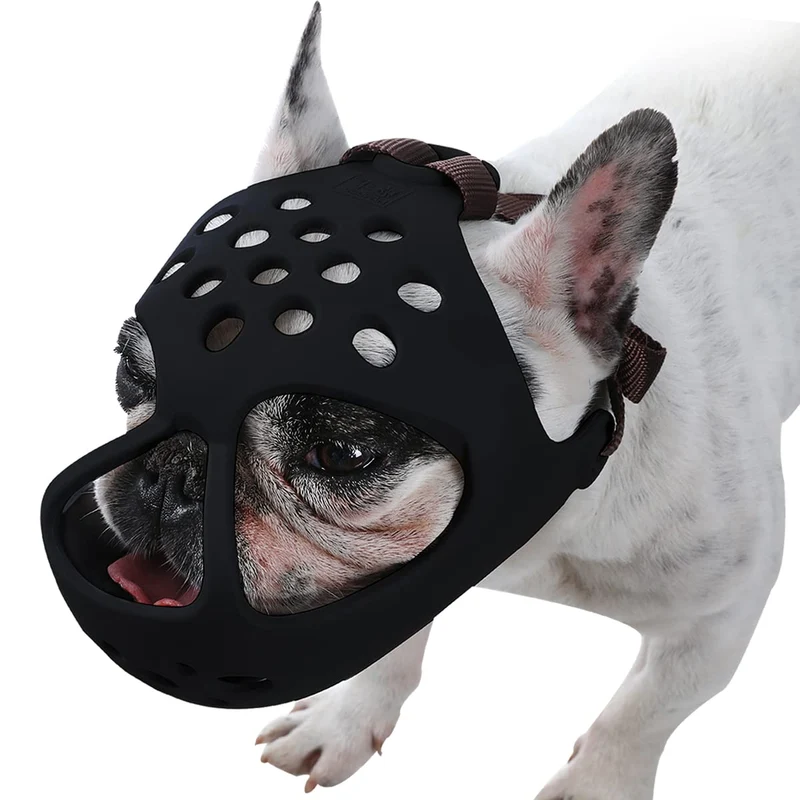 BARKLESS Museau Court – Confort et sécurité pour Bulldog Français et Boston Terriers