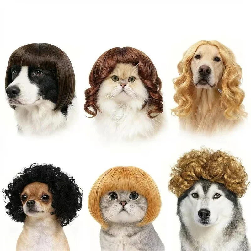 WCCDXGP – 6 Perruques Fantaisie pour Chiens et Chats | Cosplay et Fêtes