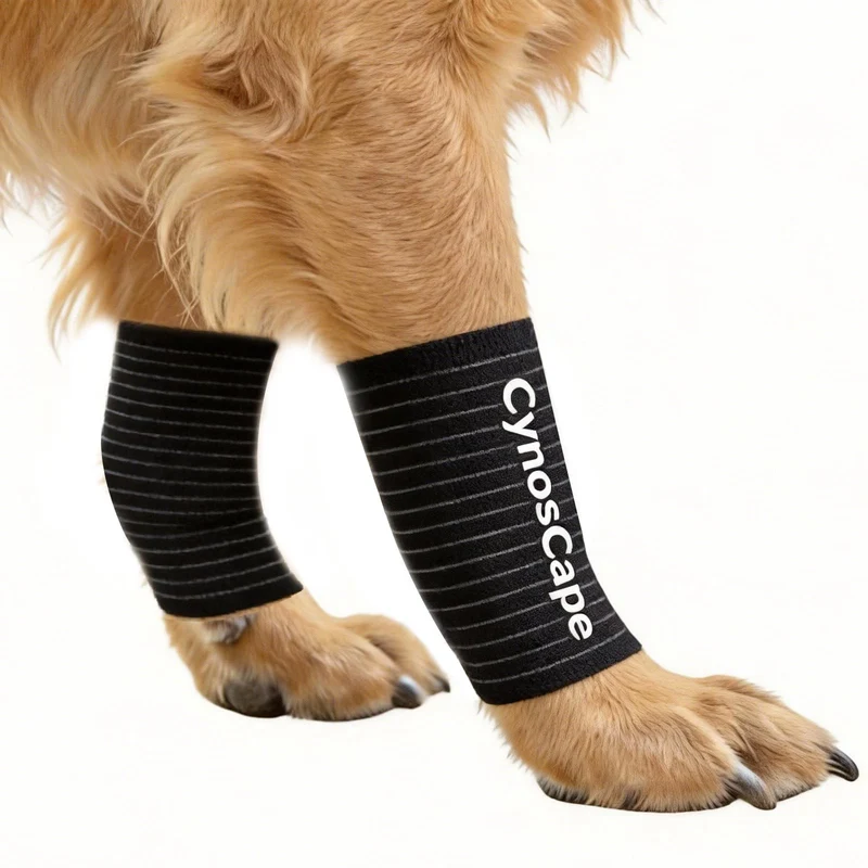 CynosCape Brace Patte de Chien — Attelle de Soutien Ajustable pour Pattes Avant ou Arrière