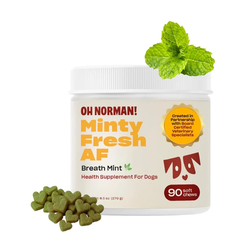 OH NORMAN! Friandises anti-haleine pour chiens – Haleine fraîche et soin dentaire – Approuvées par des vétérinaires
