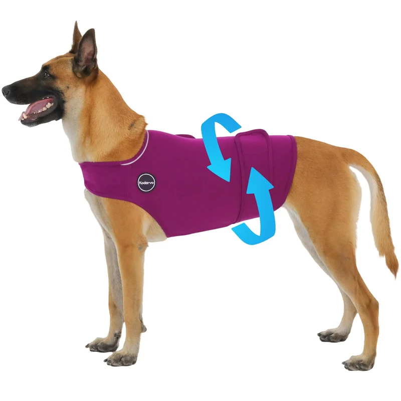 Kodervo Gilet Anti-Anxiété pour Chiens — Veste Calme Sans Médicament