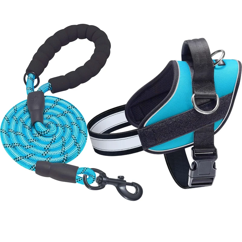 haapaw Harnais Chien Essentiel Taille EXTRA LARGE Sans Traction – 3 Attaches, Réglable, Rembourré, Bleu