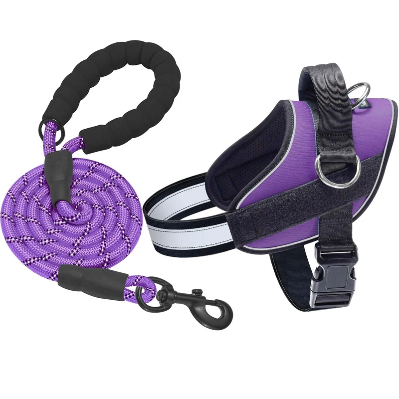 Harnais Haapaw Essential pour chien XL Violet – Sans tirage, 3 attaches, rembourré et réfléchissant