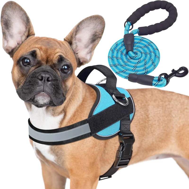 Harnais Haapaw Sans Tirage pour Chien – 3 Points d Attache, Réfléchissant, Ajustable et Rembourré (Taille S, Bleu)