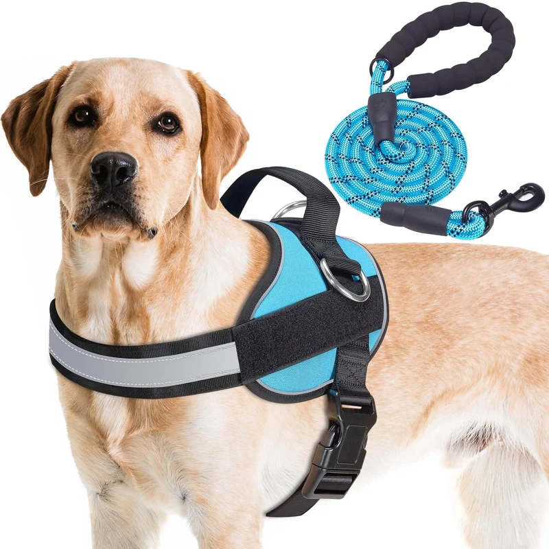 Harnais Haapaw Essential pour chien — sans traction, 3 attaches, réfléchissant, rembourré (L, Bleu)