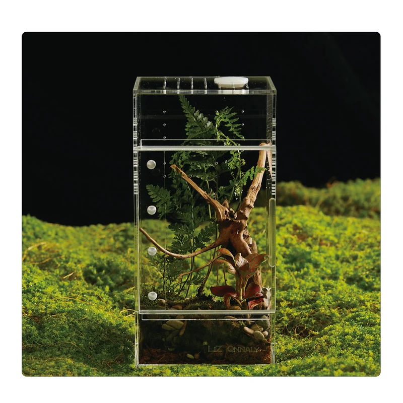 Terrarium Acrylique Liz QNNALY – Reptiles & Arachnides, Étanche, Horizontal ou Vertical (Petit/Moyen/Grand)