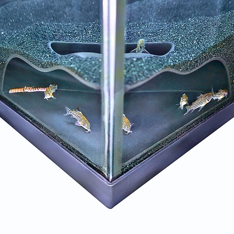 Lucky Critter Grotte Coin Souterrain pour Aquarium – Tunnel Naturel et Refuge pour Corydoras, Kuhli Loach, Pleco