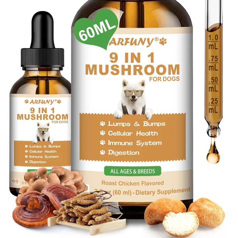 SANTKOL 9 en 1 Champignons pour Chiens — Poulet Rôti, Immunité & Digestion