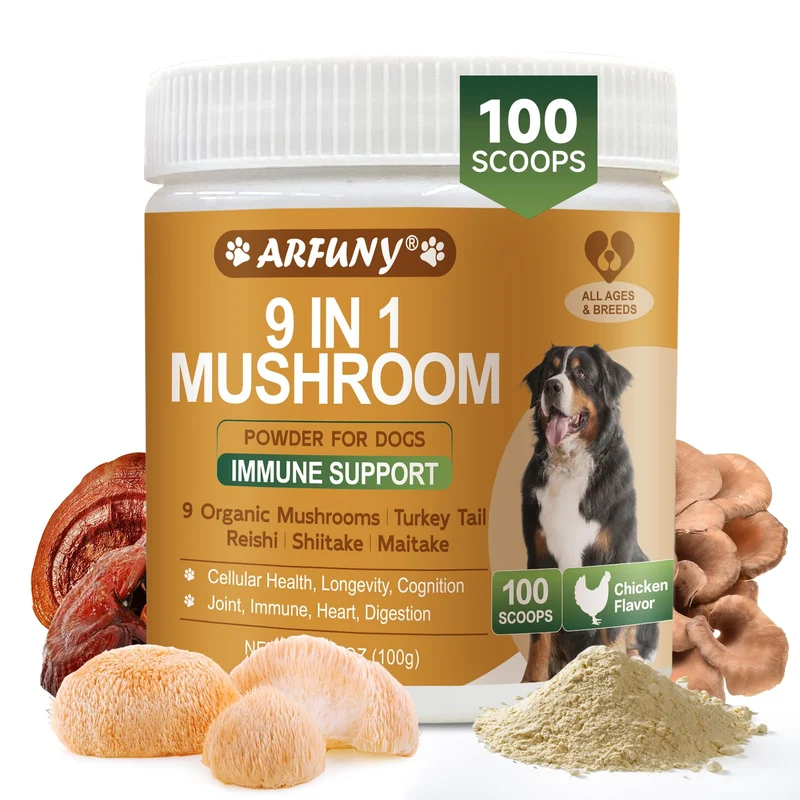 SANTKOL Mushroom pour chiens – 9 champignons bio (queue de dinde) – Soutien articulations, peau, digestion – Saveur poulet