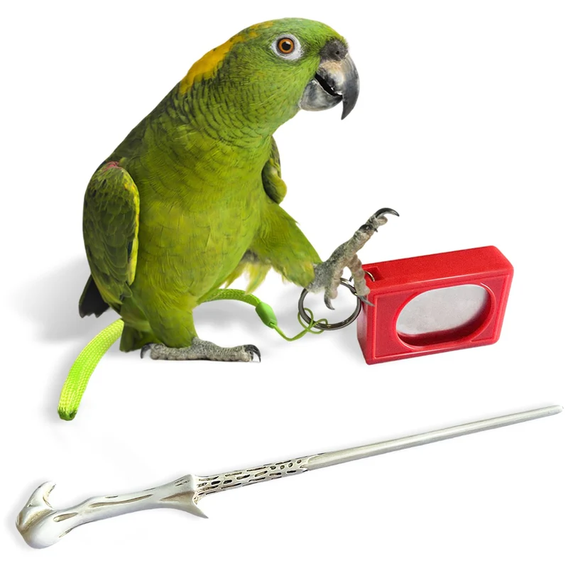 NICERINC PET Cliqueur d'entraînement pour perroquets avec bâton cible – kit débutant