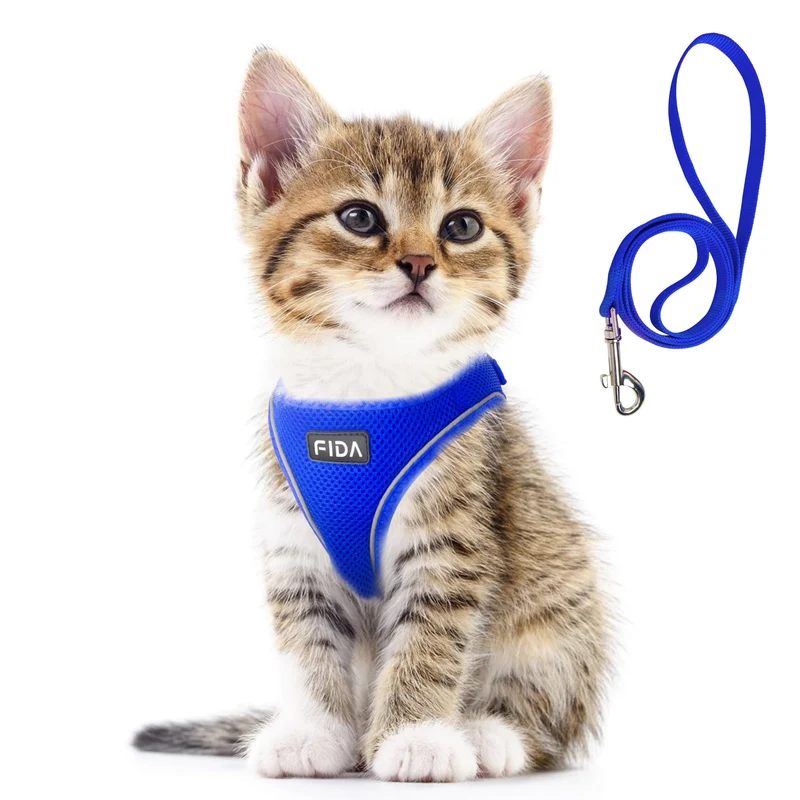 Fida Harnais et Laisse pour Chat et Chiot XXXS Bleu – Enfilage par le Devant, Anti-Échappement et Réfléchissant