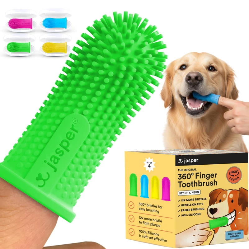 Jasper Brosse Dents Animaux 360° – Kit Dentaire Chiens et Chats, 4 Pièces Néon