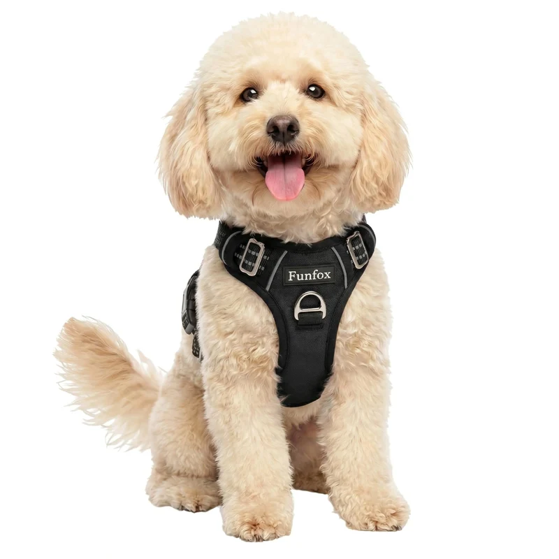 Funfox Harnais Chien Petit - Poignée Verticale, Anti-Tirage, 2 Attaches, Doux et Reflectif, Noir