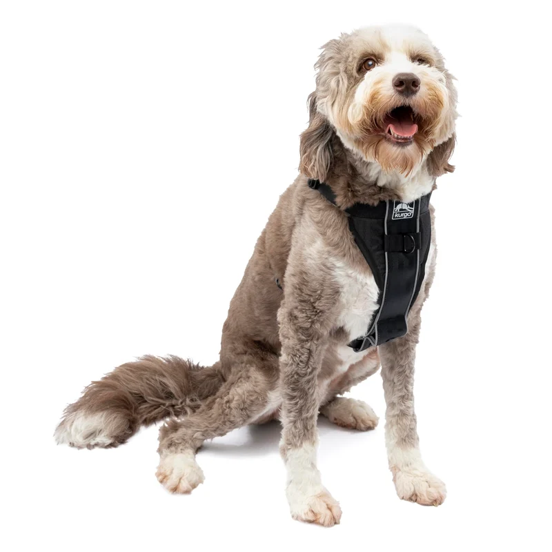 Kurgo Tru-Fit Harnais de Marche pour Chien – Confort, Ajustable et Visibilité Réfléchissante
