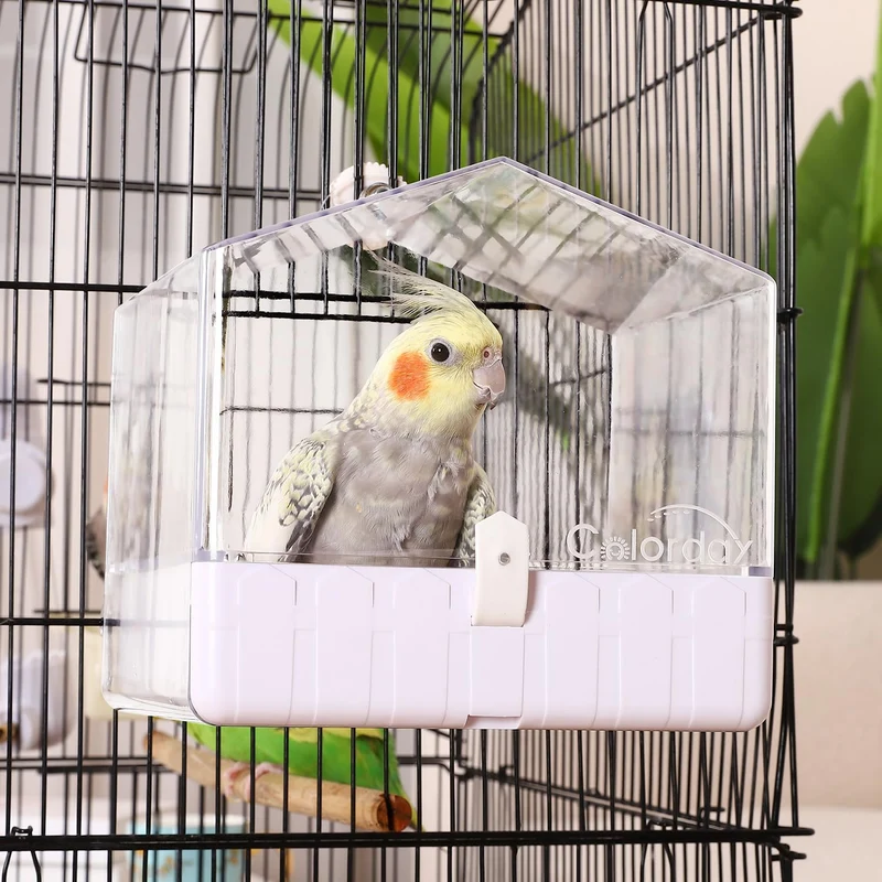 Colorday Bac Bain pour Oiseaux – Cage, Petites/Moyennes, 6,7 x 6,7 x 7,74 pouces, Transparent