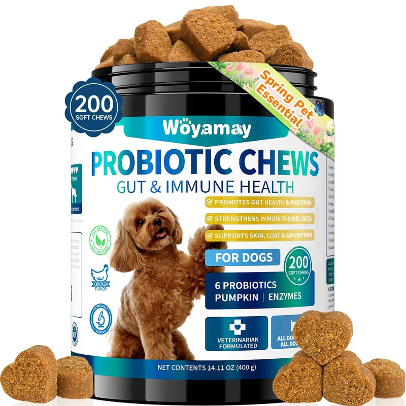 Woyamay Probiotiques pour Chiens – 200 Gommes | Santé Digestive et Immunité