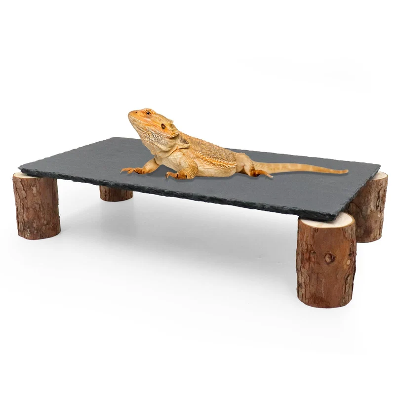 MHLLGN Plateforme de basking pour dragon barbu – Roches en schiste et refuges