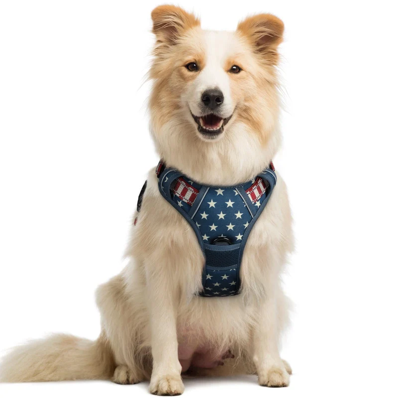 rabbitgoo Harnais anti-tirage pour chien - Taille M - Doux rembourré, 2 attaches et poignée de contrôle - Bleu Étoile