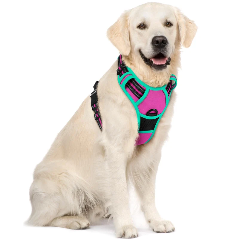rabbitgoo Harnais chien anti-tirage sans étranglement – 2 attaches, ajustable, rembourré & réfléchissant, Taille XL – Rose vif et Turquoise