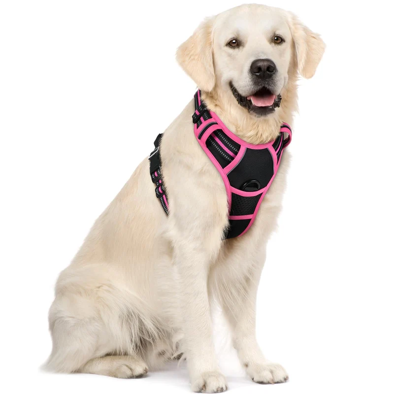 Harnais anti-pull Rabbitgoo pour chien – 2 attaches, rembourré et réfléchissant – Grands chiens – Noir & Rose – XL
