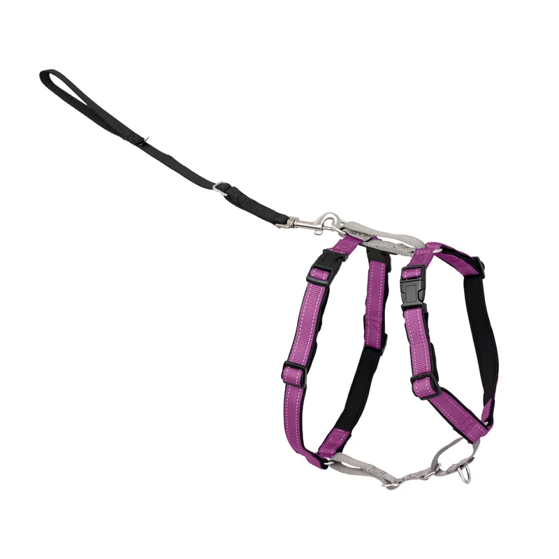 PetSafe Harnais Chien 3 en 1 – Anti-Tirage, Réfléchi, Poignée Supérieure – Prune – Petit