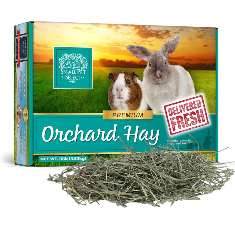 Small Pet Select Foin de Verger – Foin d’Herbe Orchard pour Lapins, Cochons d’Inde, Chinchillas et Autres Petits Animaux, 10 lb