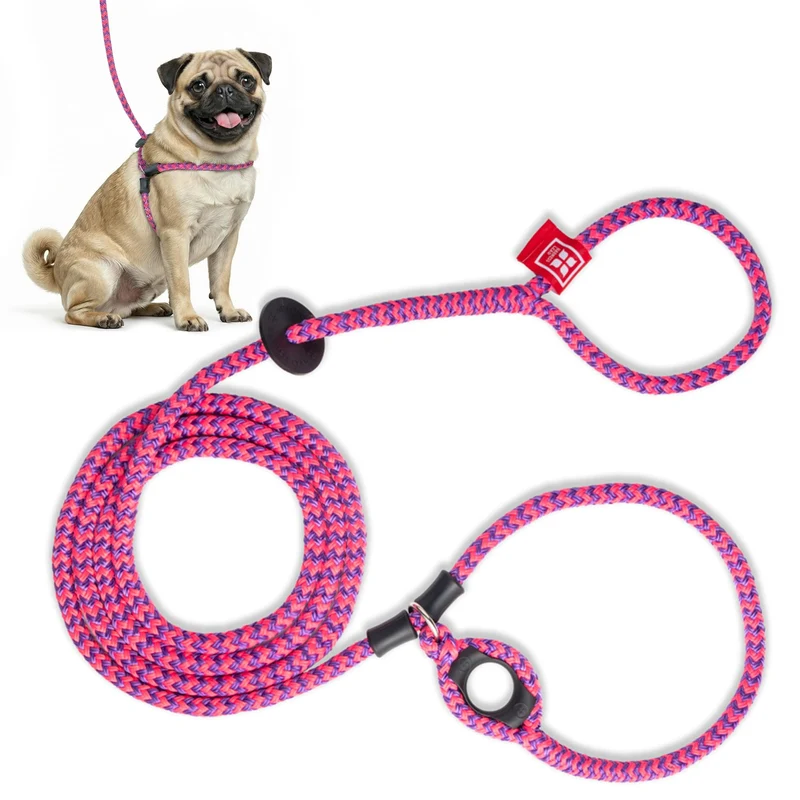 Harness Lead Harnais Anti-Tirage et Laisse pour Chiens (Petit/Moyen, Rose et Violet)