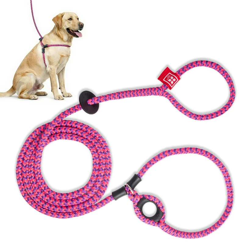 Harnais Anti-Tirage Harness Lead pour Chien – Ensemble Harnais et Laisse (M/L, Rose/Violet)