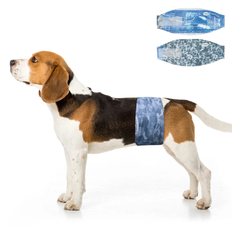 Dono Protections jetables pour chiens mâles – Couches absorbantes, anti-fuites, taille moyenne 48 pièces