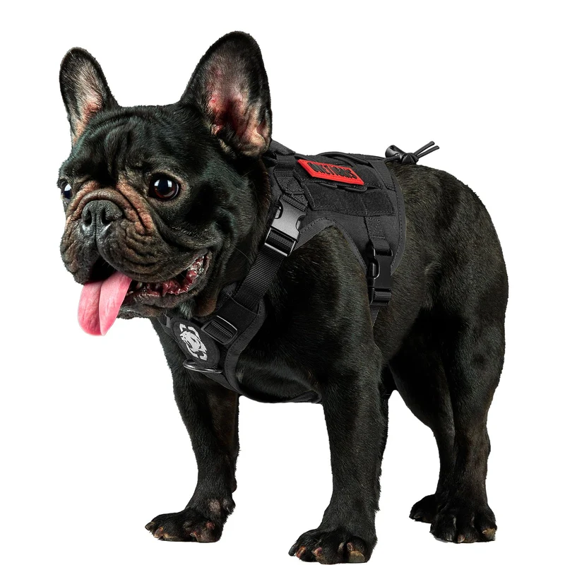 OneTigris Harnais Tactique pour Chien avec Poignée — Ajustable, MOLLE et Panneaux Auto-agrippants (Noir, Petit)
