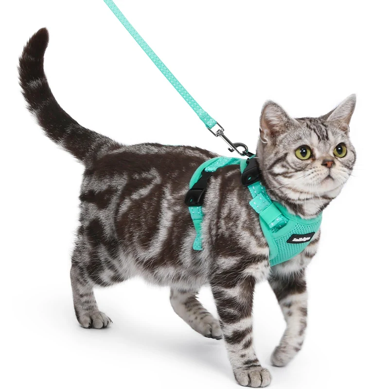 Rabbitgoo Harnais et Laisse pour Chat — Securite Anti-Fuite & Confort, 3 Boucles Ajustables, Réfléchissant, Petit Vert