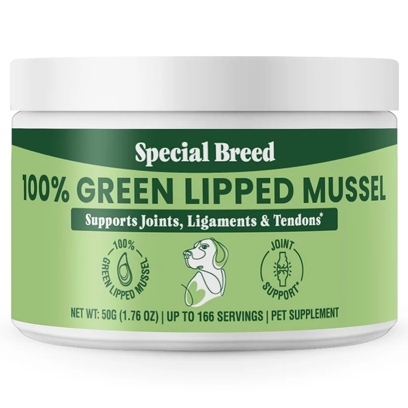 Special Breed Poudre Coquilles Vertes – Chiens & Chats, 50 g, Soutien Naturel des Articulations