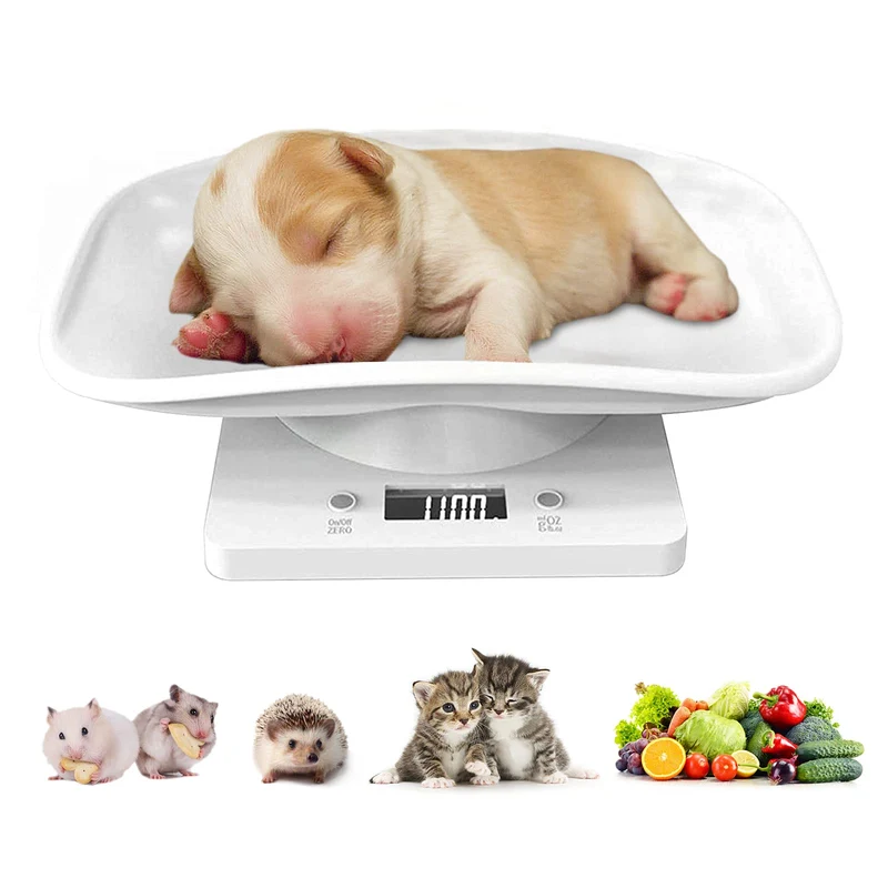 Balance Poids DWSFADA pour Animaux – Précision en Grammes, Écran LED, Poids max 15 kg (33 livres)