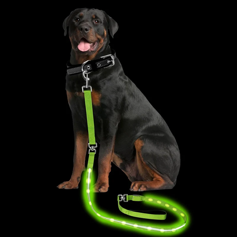 PetIsay Laisse-Chien lumineuse 6ft USB-C, Étanche, LED – Promenades Nocturnes