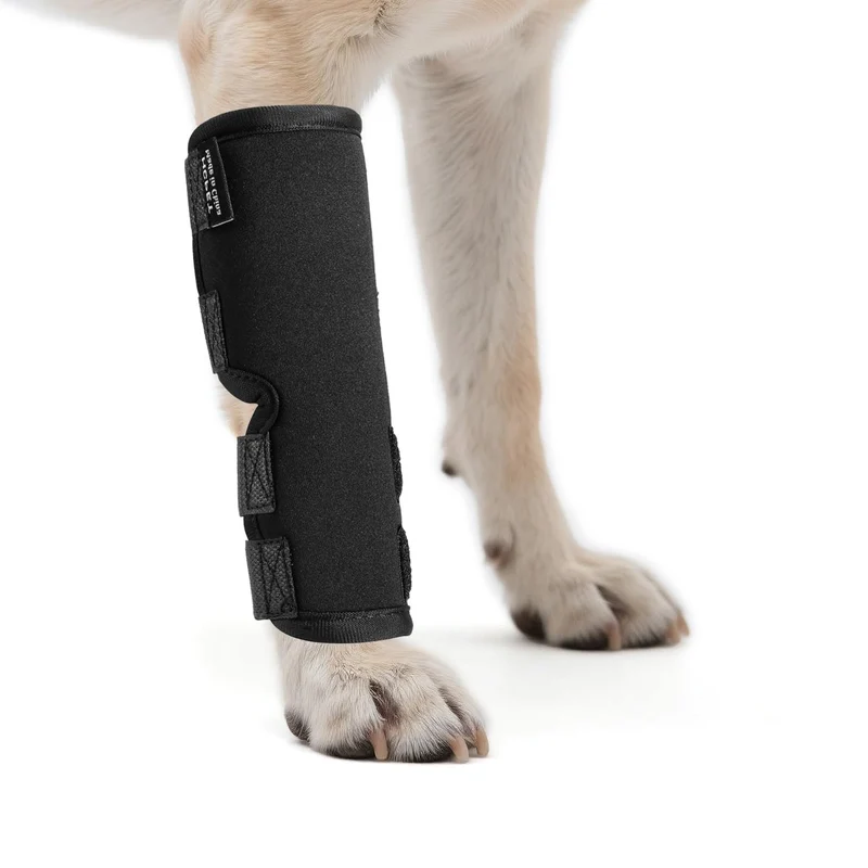 Petanims – Pack de 2 orthèses patte avant pour chien | Soutien poignet ajustable et anti-glisse