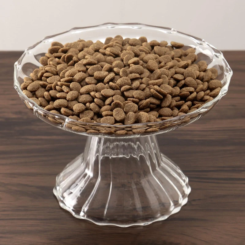 KGCCIZI - Gamelle Chat Élevée en Verre Sans Fatigue des Moustaches pour Chats Indoor
