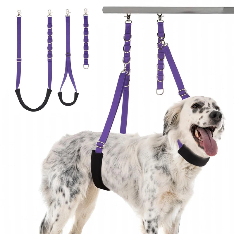 DISCPETSEC Harnais Toilettage Chien – Lot 3 Pièces Ajustable et Rembourré (Voilet)