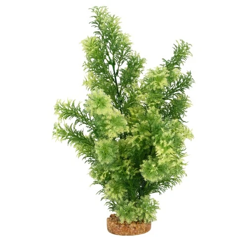 Plante Aqualife Fluval avec base de gravier - Hottonie à pointes blanches - 35,5 cm (14 po)