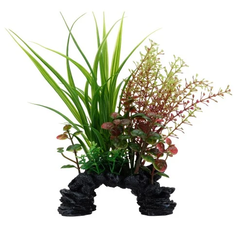 Plante Aqualife Fluval avec base décorative - Sagittaire et rotala - 20 cm (8 po)