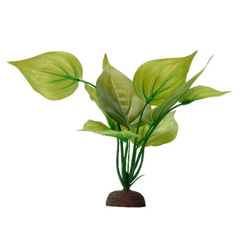 Plante Aqualife Fluval avec base de pierre - Saurure penché - 20 cm (8 po)