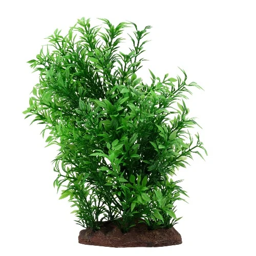 Plante Aqualife Fluval avec base de pierre - Petite helxine - 20 cm (8 po)