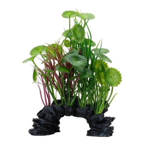Plante Aqualife Fluval avec base décorative - Lysimaque verte - 20 cm (8 po)