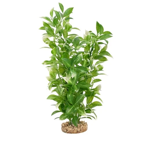 Plante Aqualife Fluval avec base de gravier - Ludwigia à pointes blanches - 35,5 cm (14 po)