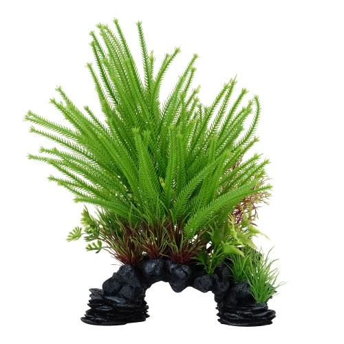 Plante Aqualife Fluval avec base décorative - Lycopode obscur - 25,5 cm (10 po)