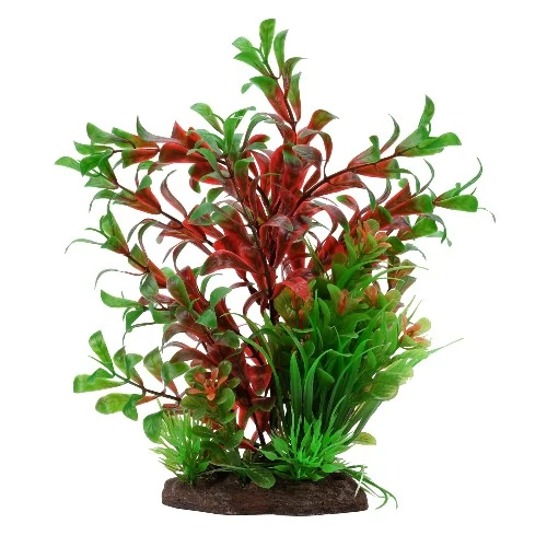 Plante Aqualife Fluval avec base de pierre - Ludwigia rouge et sagittaire naine - 20 cm (8 po)