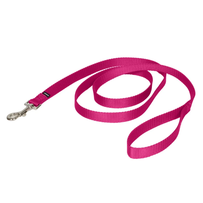 PetSafe Laisse Nylon – Connexion Sécurisée en Balades – Clip Facile – 1,9 cm x 1,8 m – Pourpre Profond