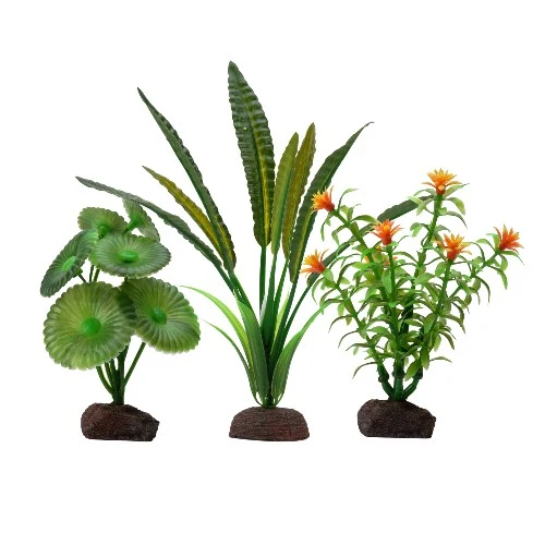 Plante Aqualife Fluval avec base de pierre - Elodée - Ensemble de 3 plantes - 10-20 cm (4-8 po)